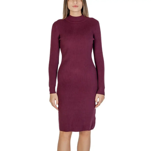 Burgundy long-sleeved bodycon dress with mock neckline from Clerè Women Dress